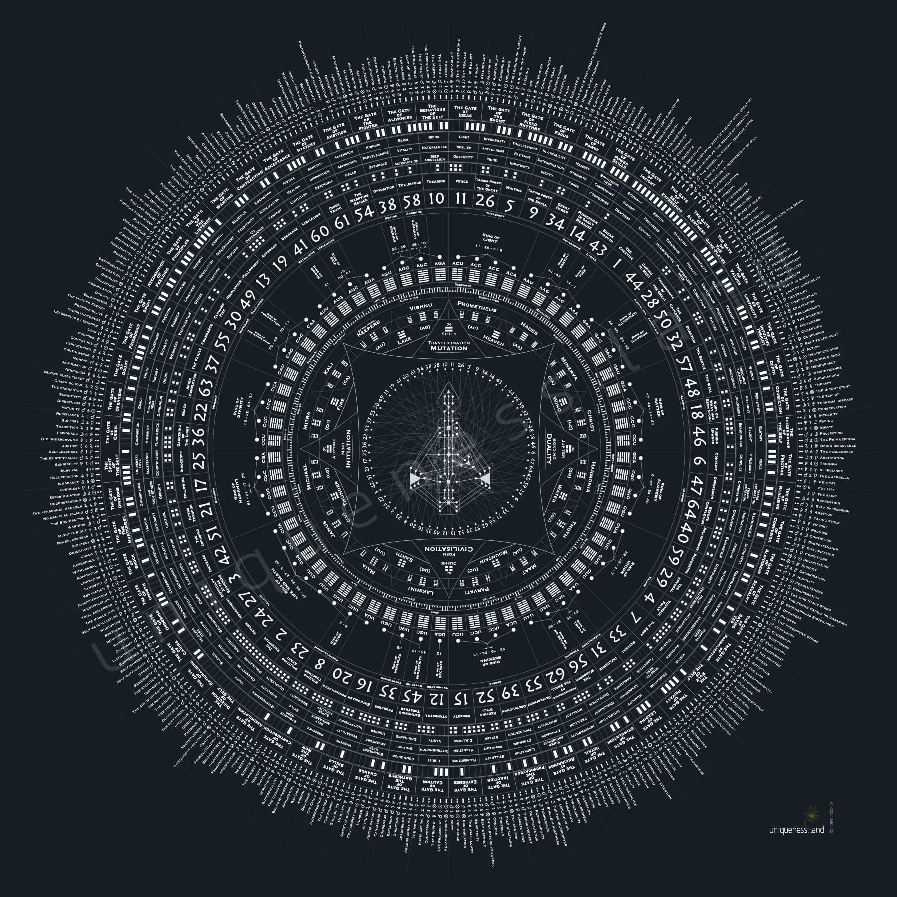 Sketch - Canvas Entry